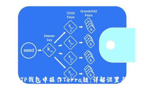 如何在TP钱包中操作Terra链：详解设置与使用指南