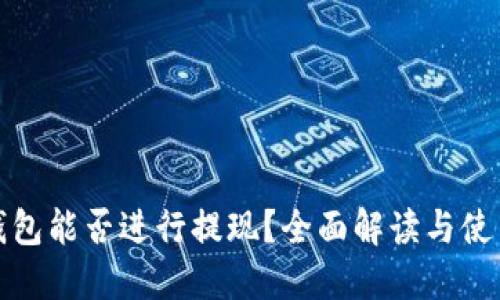 : TP钱包能否进行提现？全面解读与使用指南