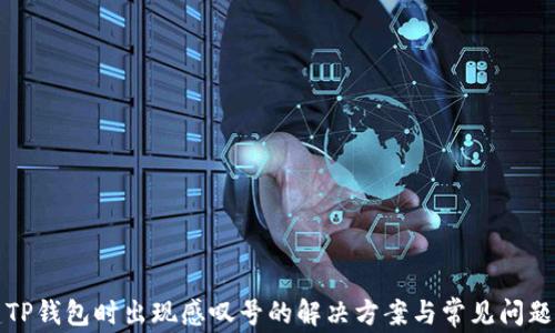 
创建TP钱包时出现感叹号的解决方案与常见问题解析