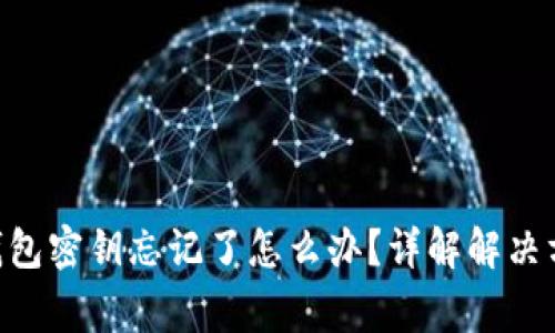 TokenPocket钱包密钥忘记了怎么办？详解解决方案与常见问题