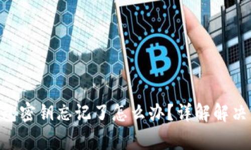 TokenPocket钱包密钥忘记了怎么办？详解解决方案与常见问题