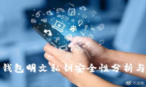 : TP钱包明文私钥安全性分析与保护