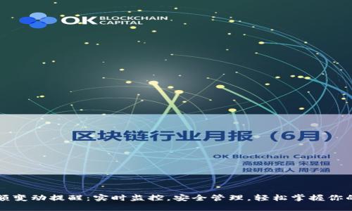 TP钱包余额变动提醒：实时监控，安全管理，轻松掌握你的数字资产