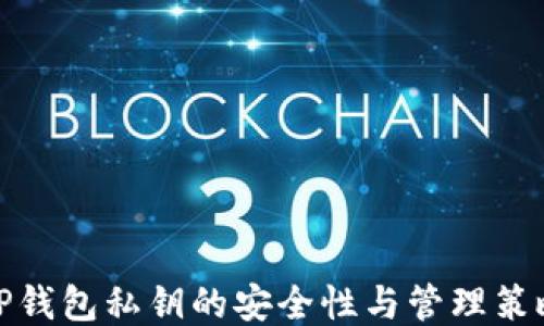 
TP钱包私钥的安全性与管理策略
