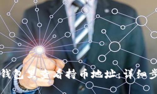 如何在TP钱包里查看持币地址：详细步骤与指南