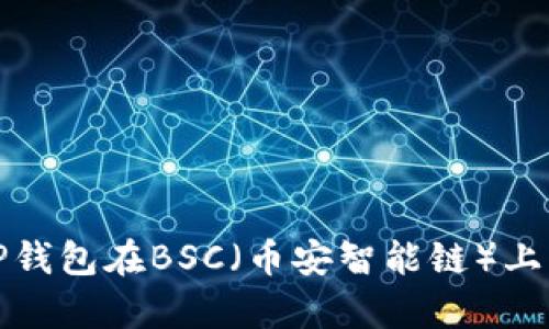 全面解析TP钱包在BSC（币安智能链）上的使用教程