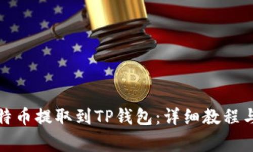 如何将瓦特币提取到TP钱包：详细教程与注意事项