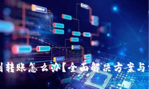 TP钱包未收到转账怎么办？全面解决方案与常见问题解析