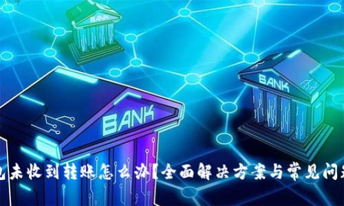 TP钱包未收到转账怎么办？全面解决方案与常见问题解析