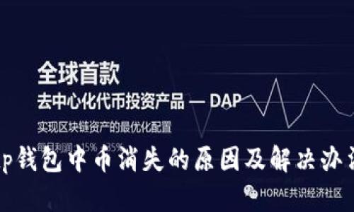 tp钱包中币消失的原因及解决办法