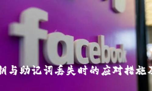 TP钱包私钥与助记词丢失时的应对措施及找回方法
