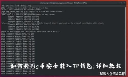  如何将Pig币安全转入TP钱包：详细教程