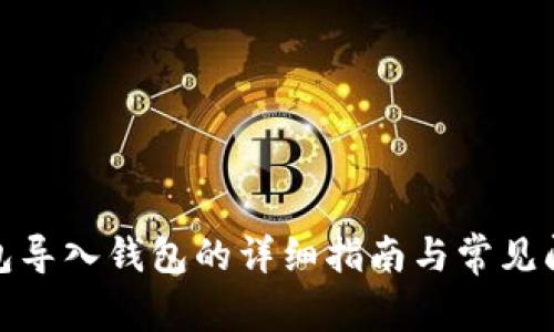 : TP钱包导入钱包的详细指南与常见问题解答