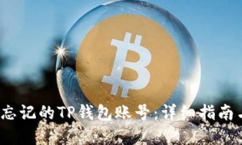  如何找回忘记的TP钱包账号：详细指南与解决方案