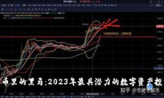 加密货币里的黑马：2023年