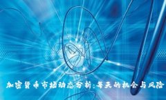  加密货币市场动态分析：