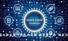 在中国内陆使用TP钱包的攻