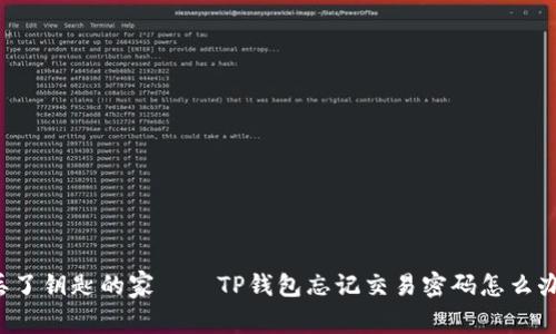 “丢了钥匙的家——TP钱包忘记交易密码怎么办？”