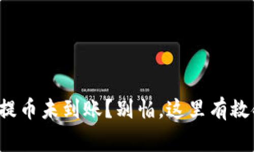 TP钱包提币未到账？别怕，这里有救命稻草！