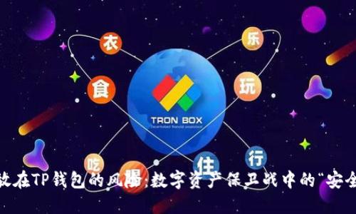 USDT放在TP钱包的风险：数字资产保卫战中的“安全漏洞”